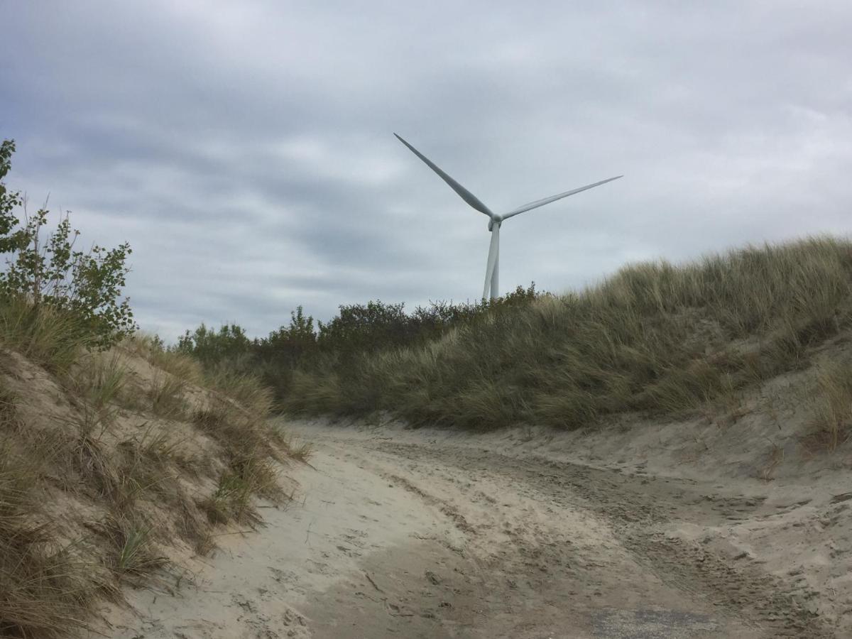 Olmenduin | Chalet 26 | Zeeland Serooskerke  Eksteriør billede